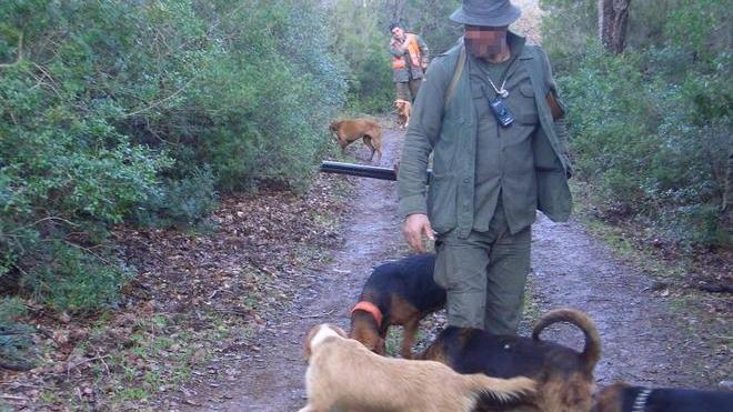 Cane da caccia finisce in una buca, salvato dopo una notte