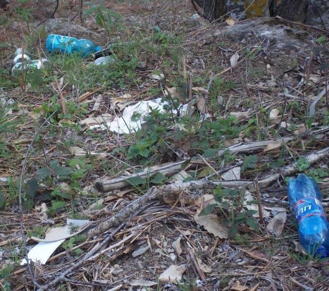 La faggeta dell’Amiata Una discarica nel paradiso 