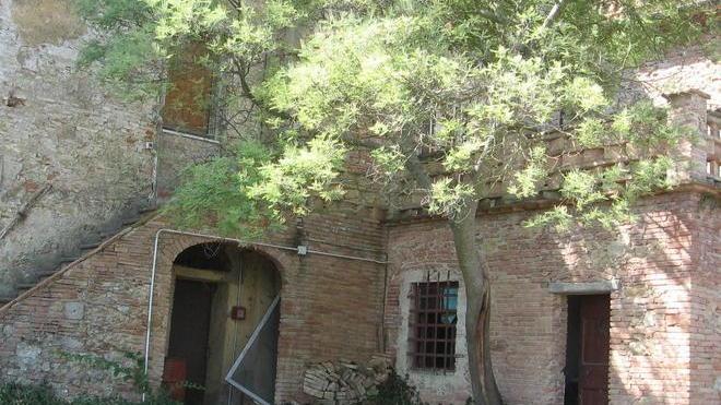 Stangata Imu su edifici rurali e terreni: la seconda rata entro il 15 dicembre