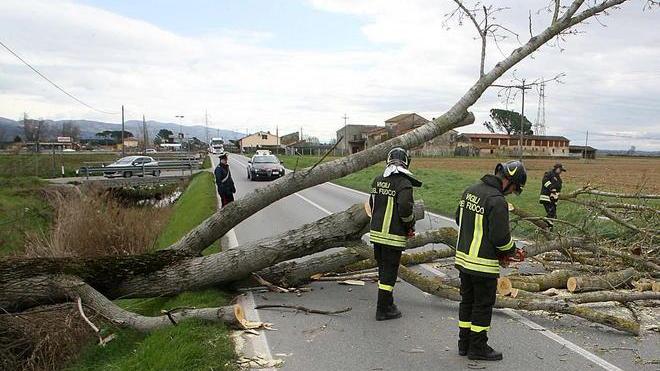Paura tramontana Nelle prossime ore attese forti raffiche