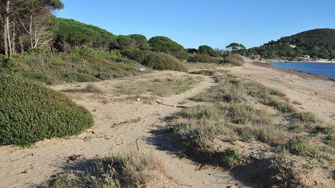 Il Parco prova a salvare le dune