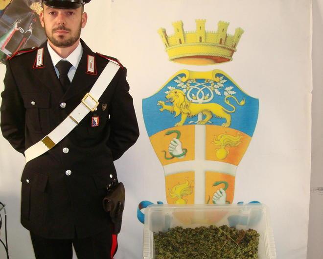 Trovato con nove etti di marijuana, arrestato 