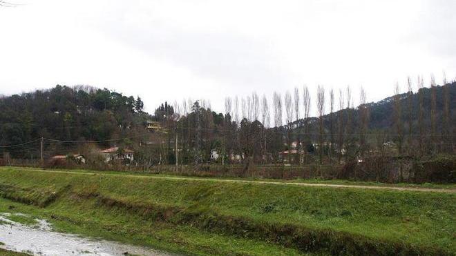 Al via il restyling del lungofiume