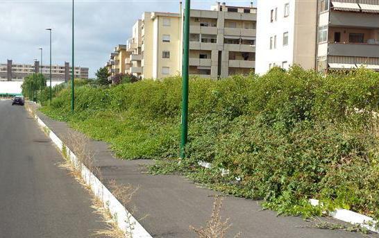 «Noi di via Spinelli, dimenticati da tutti» 