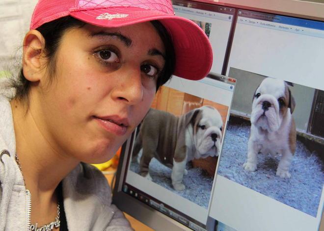 Compra il cane sul web: truffata