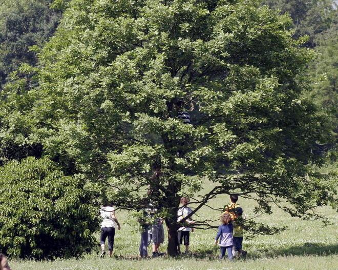 Fondi europei: un milione di euro per migliorare i parchi cittadini 