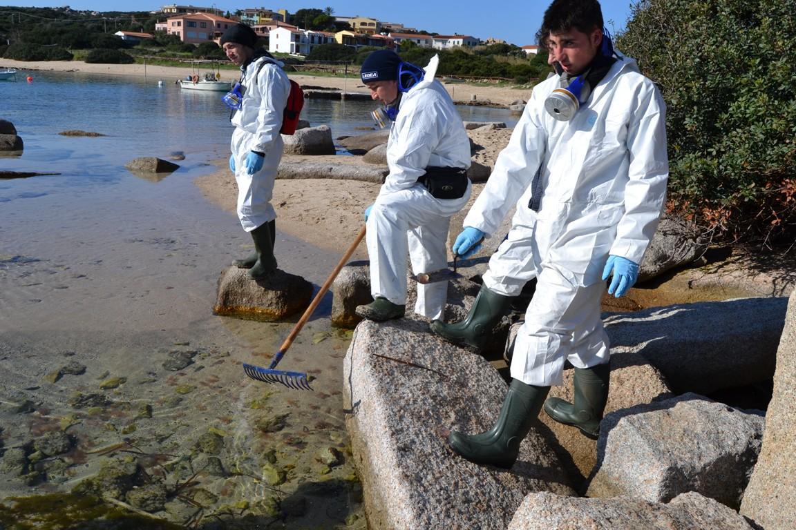 Marea nera nel golfo dell’Asinara, il ministero fa causa 