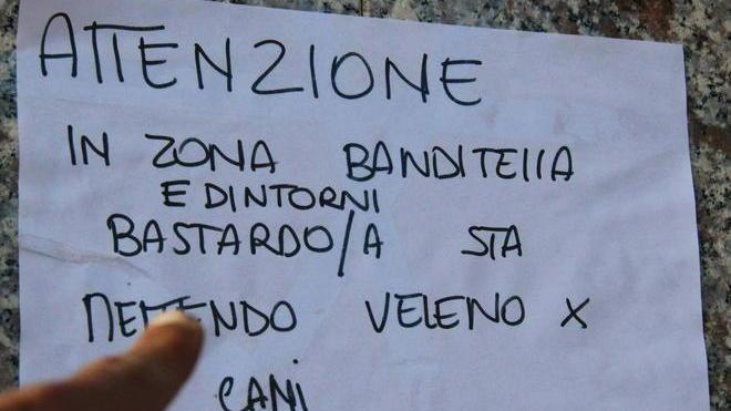 "In Banditella quattro cani morti avvelenati" E ora la polizia provinciale indaga