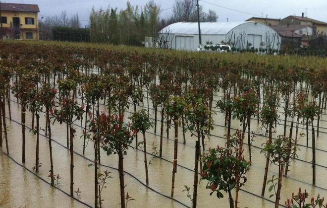 Nove milioni di danni dall’ultima alluvione 