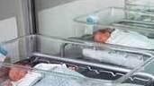 Ai neo genitori 700 euro