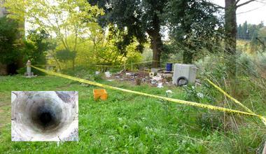 Cane cade nel pozzo, salvato dai vigili del fuoco 