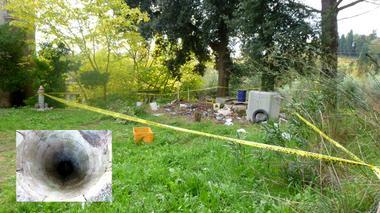 Cane cade nel pozzo, salvato dai vigili del fuoco