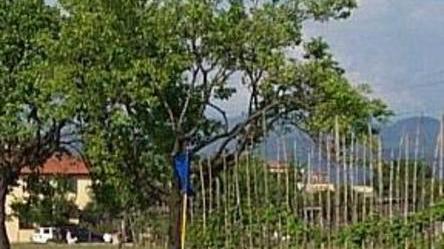 Si allunga la procedura per realizzare il campo da golf
