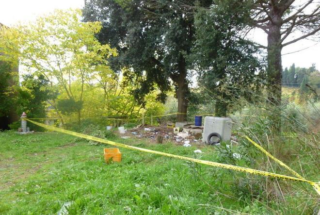 Cane salvato dai pompieri nel pozzo profondo 8 metri 