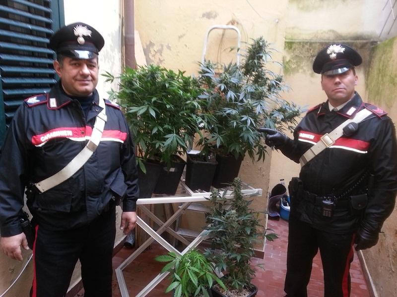 Tre chili di "erba": i carabinieri sentono l'odore e arrestano due livornesi 