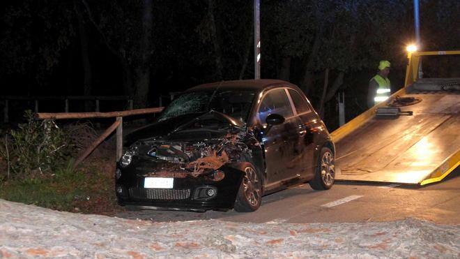 Pino crolla su un’auto, salvi per miracolo due giovani