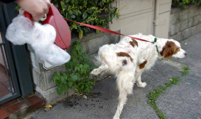 «Stop ai cani in via Grande e multate i proprietari» 