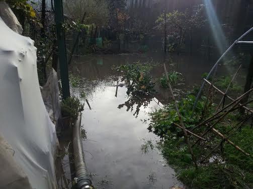 Notte di paura per gli abitanti di via del Calice: acqua alla porta 
