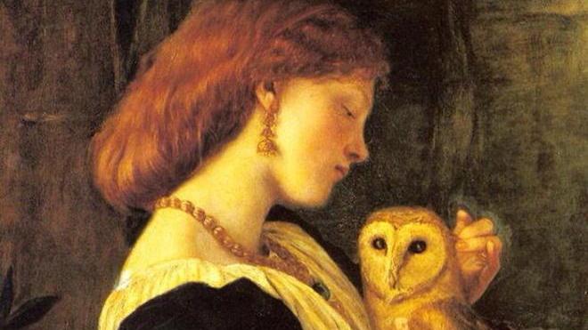 Riecco Il Barbagianni