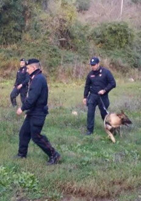 Bilella non parla, carabinieri in campo con nuove ricerche 