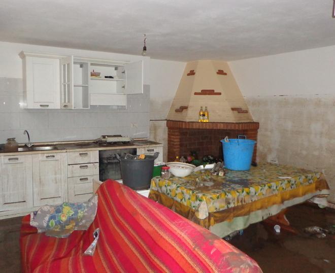 Campi sommersi e animali perduti 