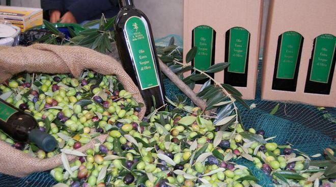 Un concorso per lanciare la festa Prim’olio, Primovino