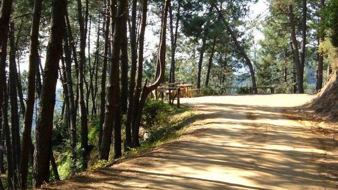 La strada Panoramica torna a risplendere