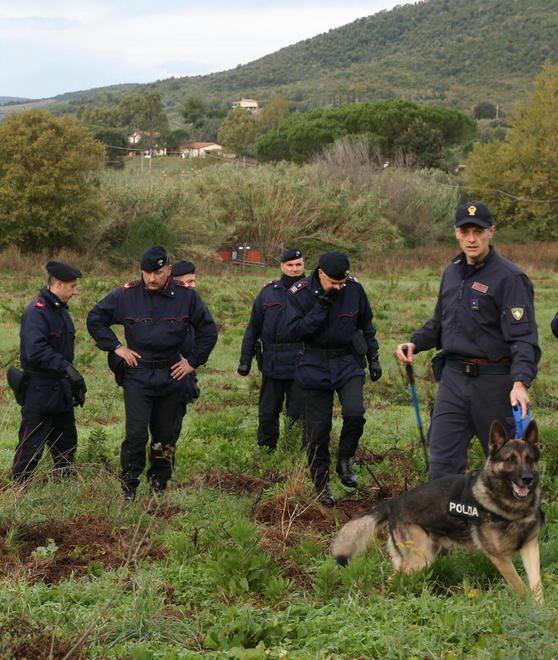 Nel bosco a cercare il corpo di Francesca 