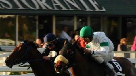 Corse a San Rossore La Tris domenicale premia Sempreverde