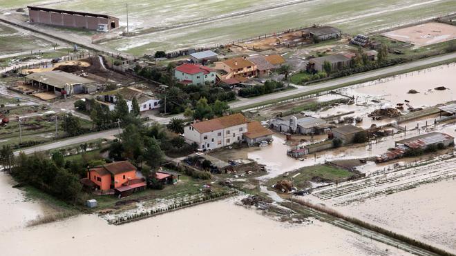 Fieno dalla Corsica per gli allevamenti alluvionati 