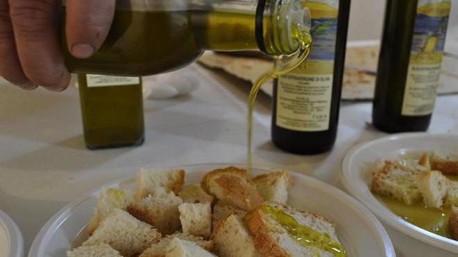Olio da degustare