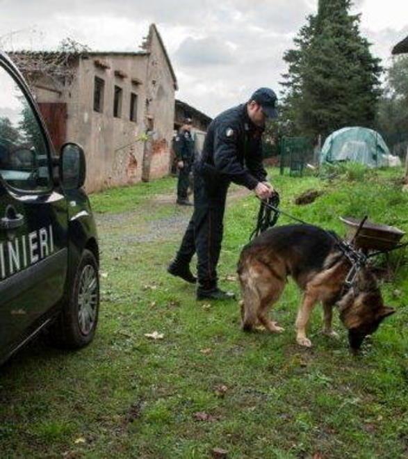 Ancora intorno alla villa per cercare Francesca