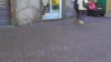 Via Fillungo, rischi per gli avvallamenti nel tratto iniziale
