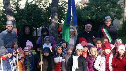 Ecco gli alberi piantati dai bambini
