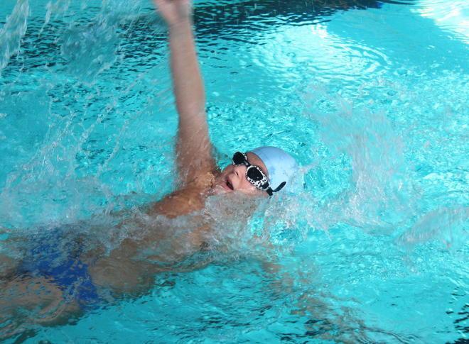 Piccoli “cavallucci” crescono in piscina 