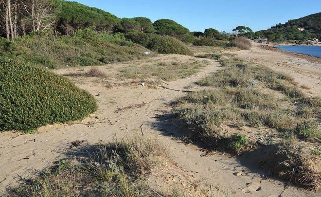 Tempo scaduto, le dune di Lacona vanno all’asta giudiziaria 