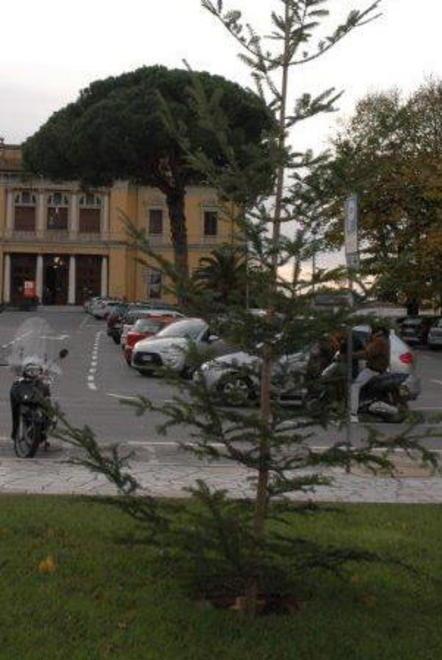 Pietrasantaklaus emigra a Marina 