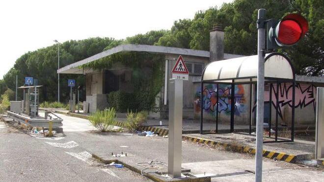 Pool di imprese: riaprire il casello dell’autostrada a Coltano