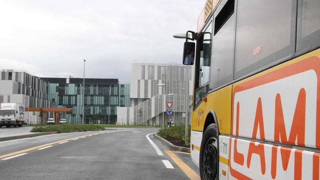 Lam Arancione più frequente, la Regione dà l’ok