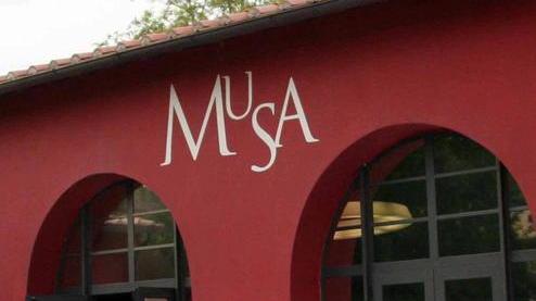Incontro sui materiali lapidei nel salone del Musa