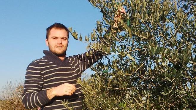 Alberi di Natale addobbati da assessori e consiglieri