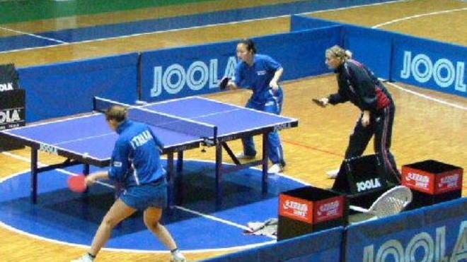 Lavori al Palasport L’obiettivo è 400 spettatori