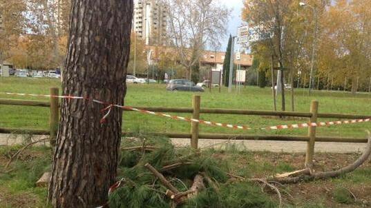 Raffiche di vento in tutta la Maremma, decine di interventi dei vigili del fuoco