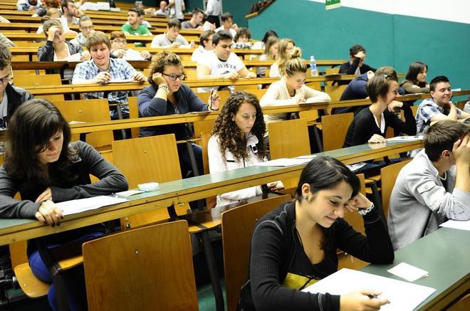 Studenti in crisi, una psicologa vi salverà 