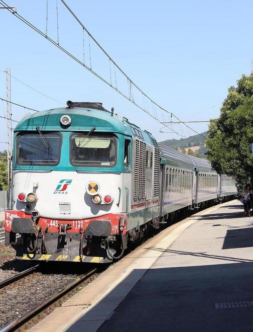 Albero cade sul treno in corsa 
