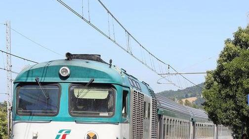 Albero cade sul treno in corsa