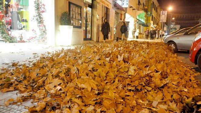 Montagne di foglie in centro e i negozianti si lamentano
