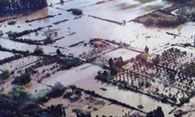 Alluvione, intascava donazioni: denunciato