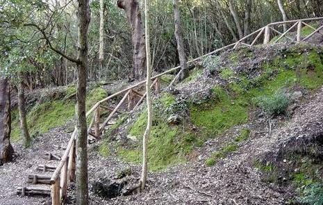 «Visita al parco di Montioni con i sindaci» 