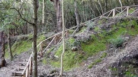 «Visita al parco di Montioni con i sindaci»